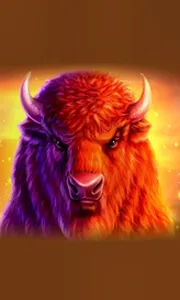 Buffalo 50